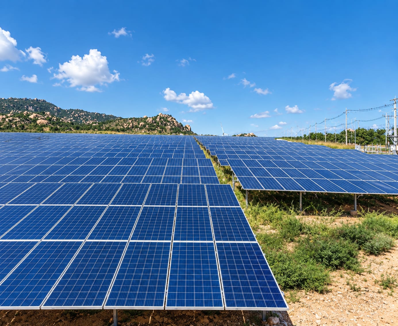 Solar farm ground level